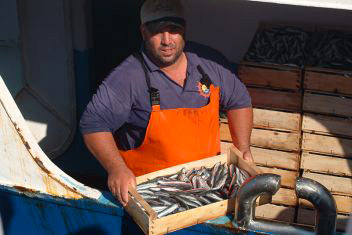 Pescatori 3