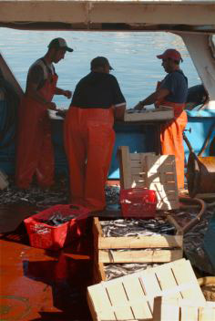 Pescatori 5