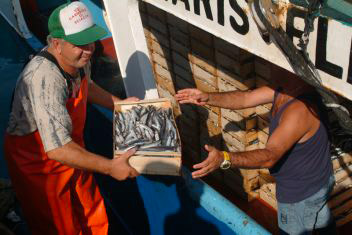 Pescatori 6