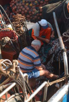 Pescatori 7