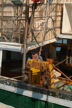 Pescatori 8
